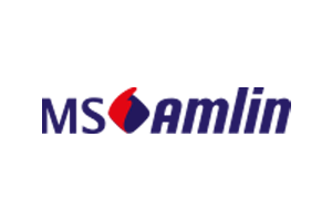 MS Amlin